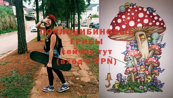 МДМА Козельск