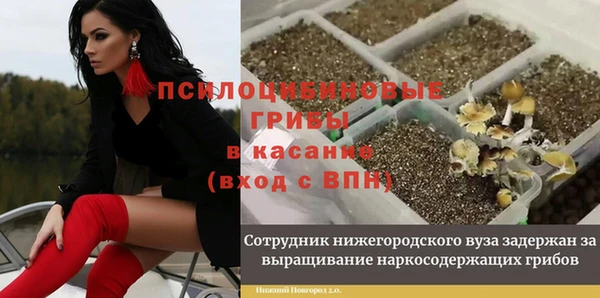 МДМА Козельск