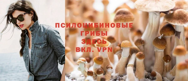 МДМА Козельск